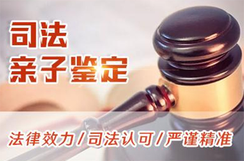 武汉司法亲子鉴定流程,武汉司法亲子鉴定怎么做